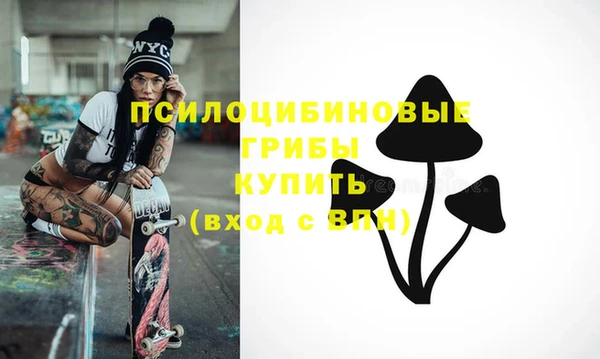 прущие грибы Иннополис