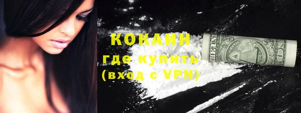 прущие грибы Иннополис