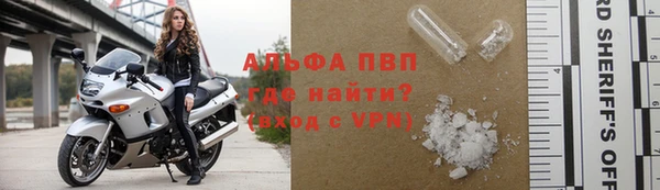 прущие грибы Иннополис