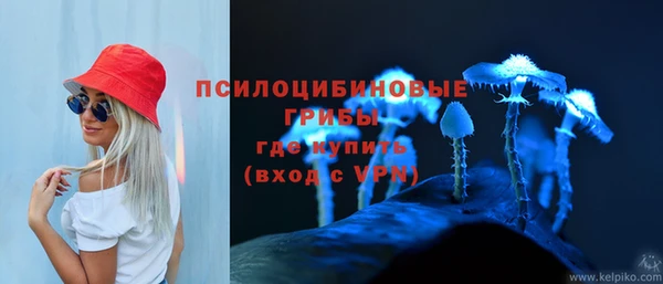 трава Инсар