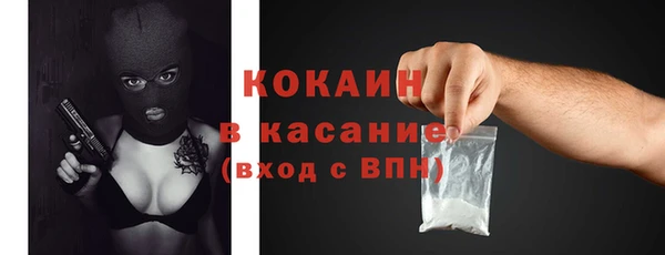 прущие грибы Иннополис