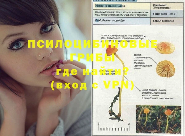 альфа пвп VHQ Инта