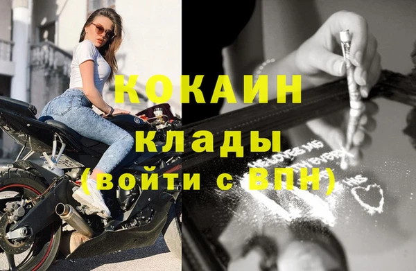 прущие грибы Иннополис