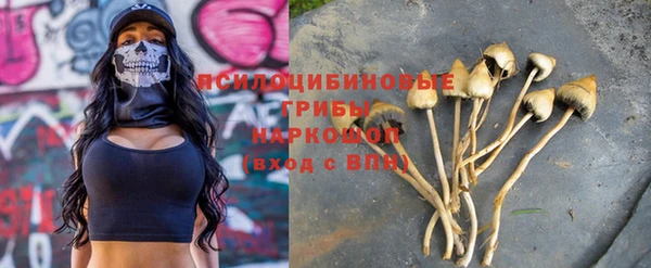 прущие грибы Иннополис