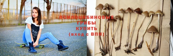 трава Инсар