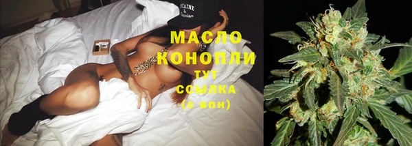 прущие грибы Иннополис